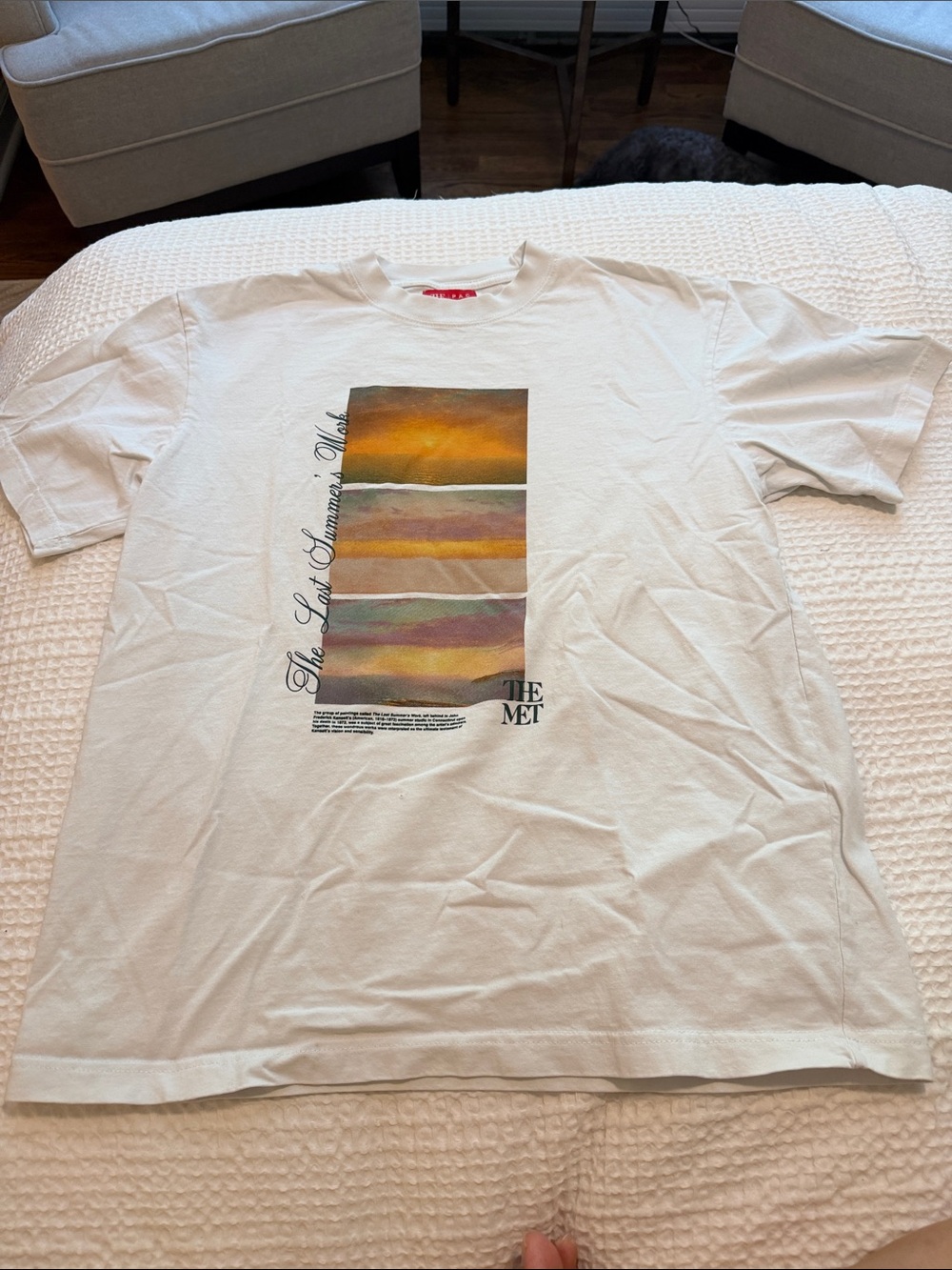 PacSun White Short Sleeve Graphic Tee with Sunset Panel